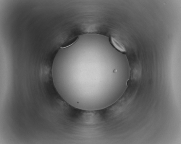 X0000113320521200909281210