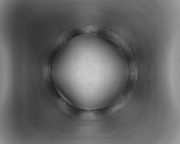 X0000113320523200909281210