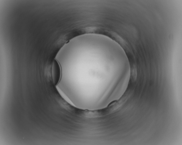 X0000113320525200909281210