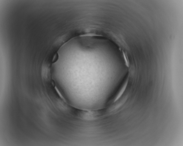 X0000113320527200909281210