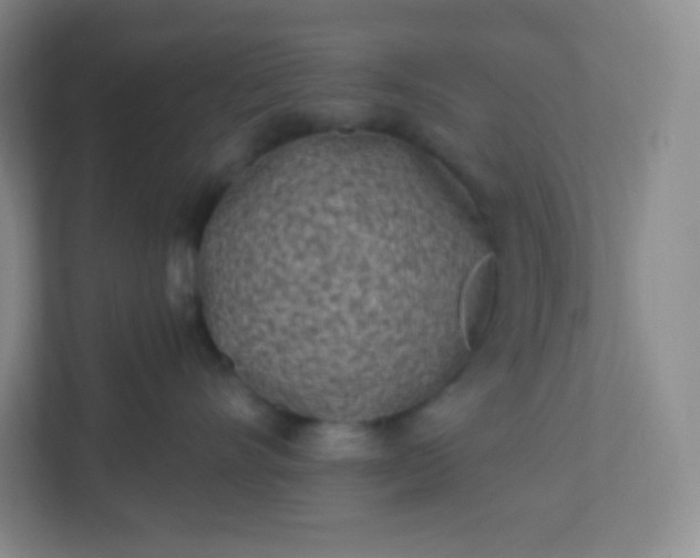 X0000113320528200909281210