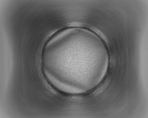 X0000113320529200909281209