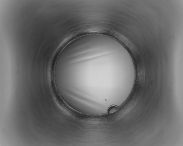 X0000113320530200909281209