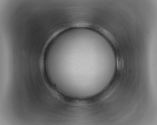 X0000113320531200909281209