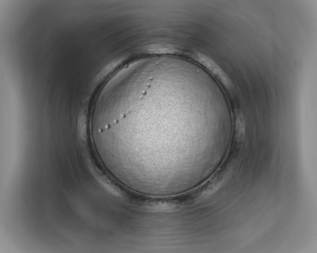 X0000113320533200909281209