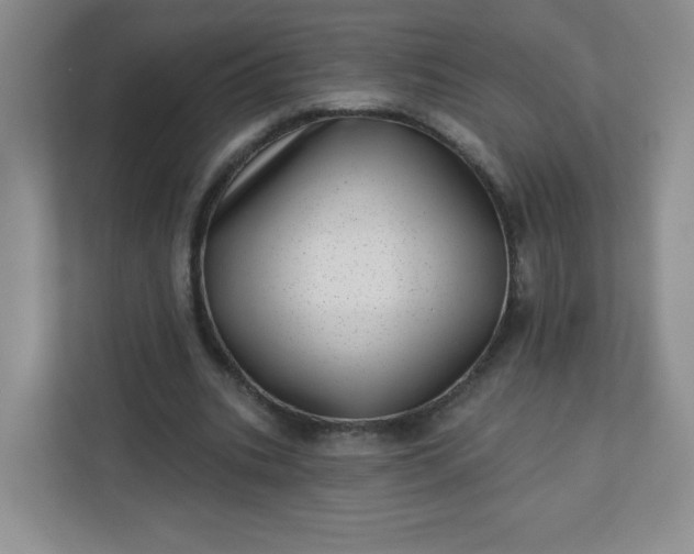 X0000113320535200909281209