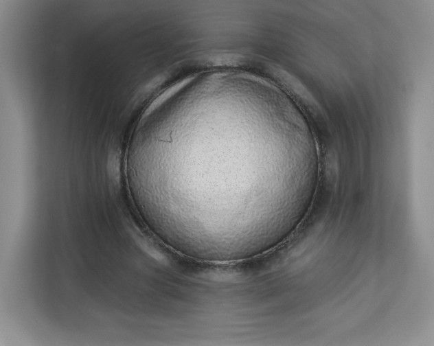 X0000113320537200909281209