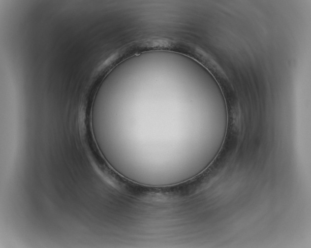 X0000113320538200909281209