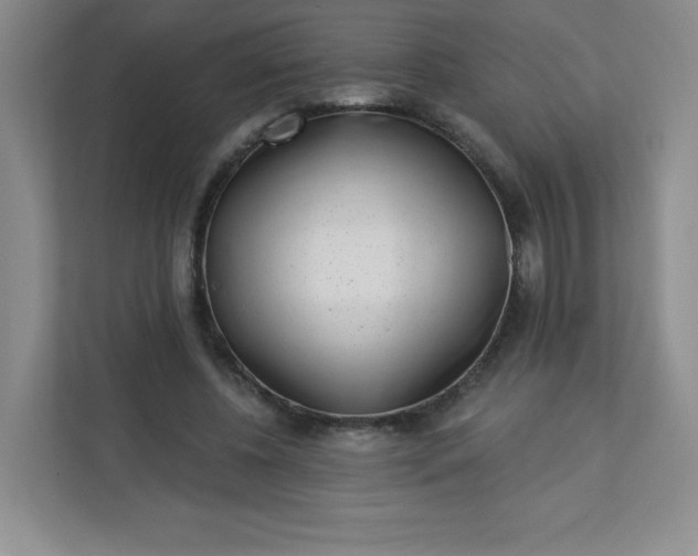 X0000113320540200909281209