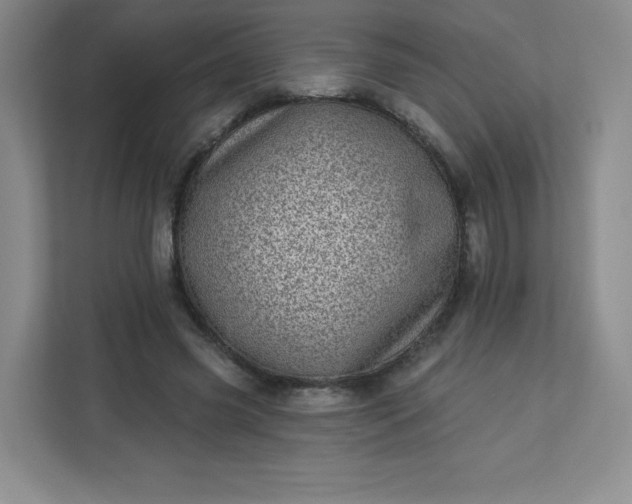 X0000113320541200909281209