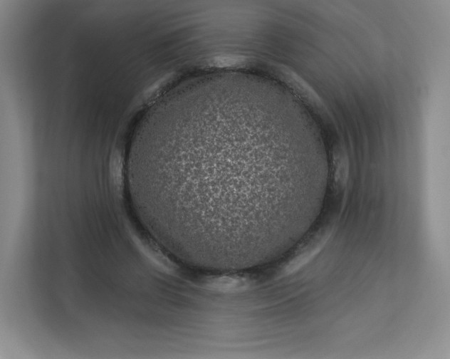 X0000113320542200909281209