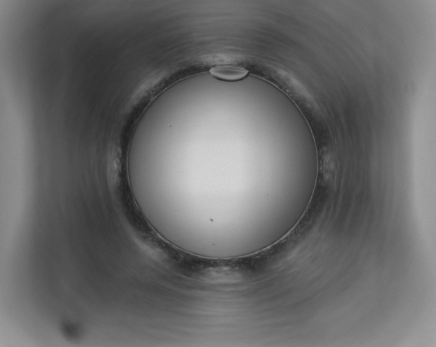 X0000113320544200909281209