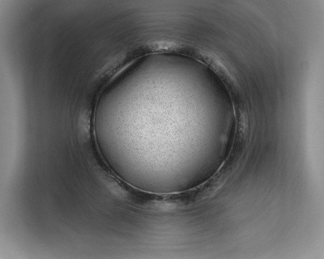 X0000113320545200909281209