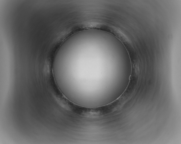 X0000113320546200909281209