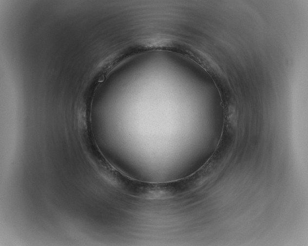 X0000113320547200909281209