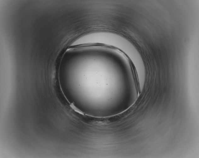 X0000113320548200909281209