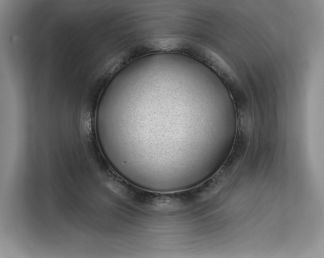 X0000113320549200909281209