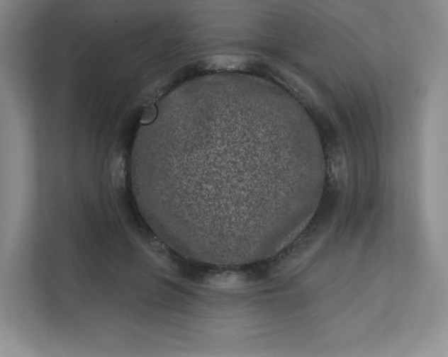 X0000113320551200909281210