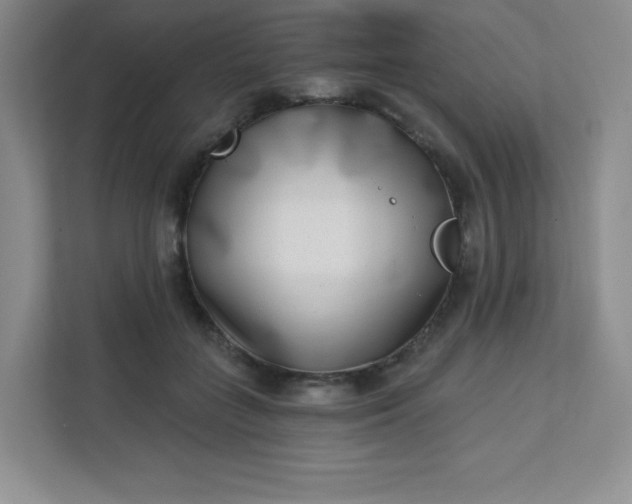 X0000113320555200909281210