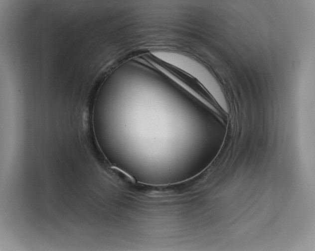 X0000113320556200909281210