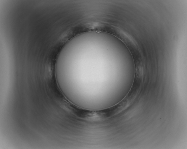 X0000113320558200909281210