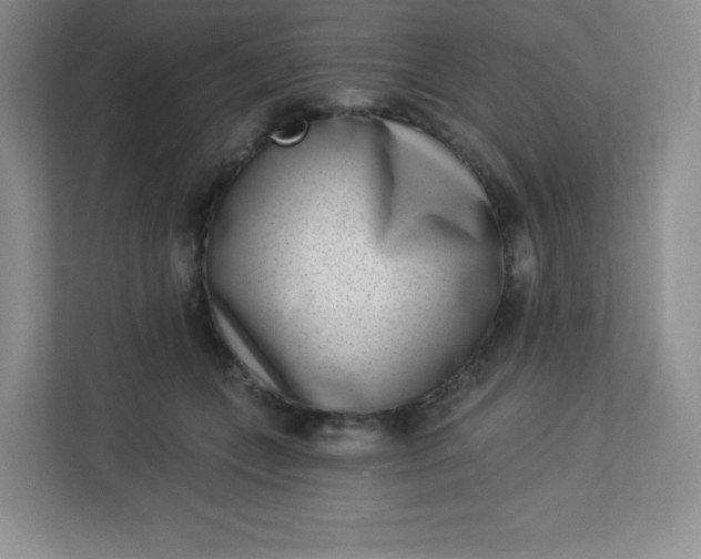 X0000113320559200909281210