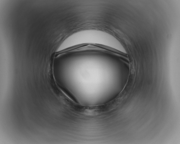 X0000113320560200909281210