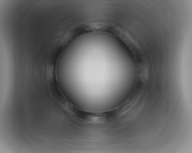 X0000113320563200909281210