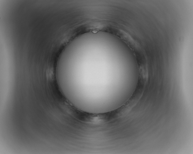 X0000113320564200909281210