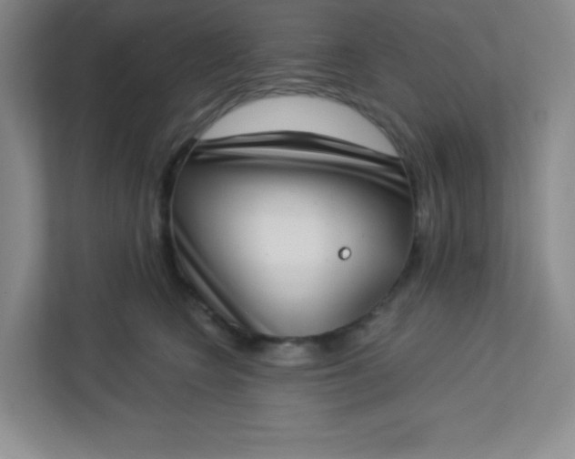 X0000113320566200909281210