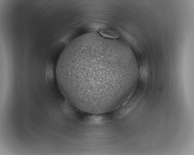 X0000113320570200909281210