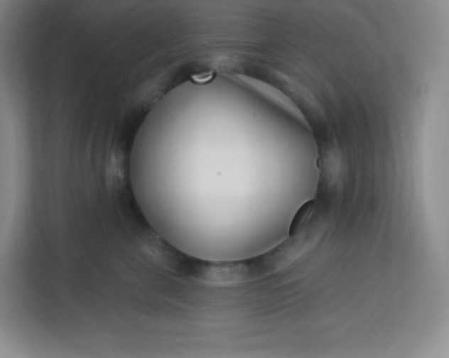 X0000113320571200909281210