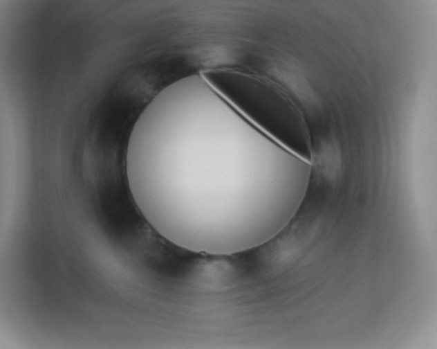 X0000113320572200909281210