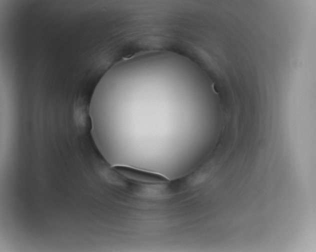 X0000113320576200909281210