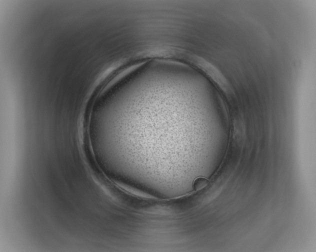 X0000113320578200909281209