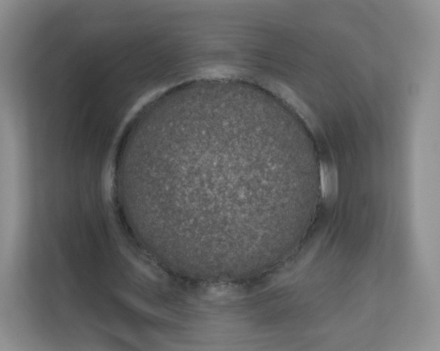 X0000113320579200909281209