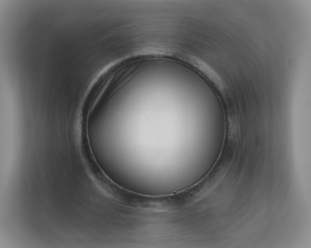 X0000113320580200909281209