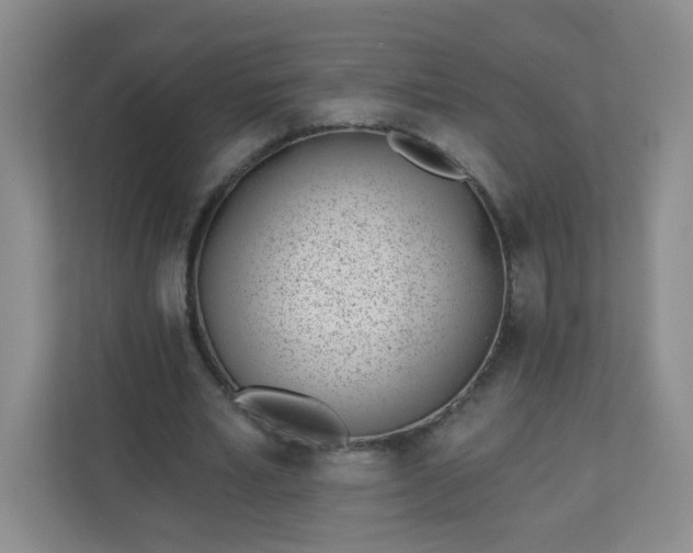 X0000113320581200909281209