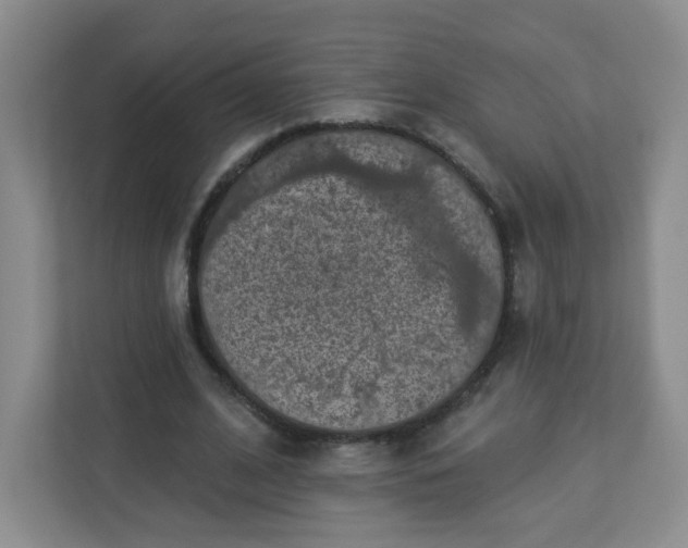 X0000113320584200909281209