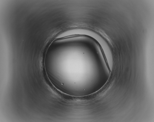 X0000113320585200909281209