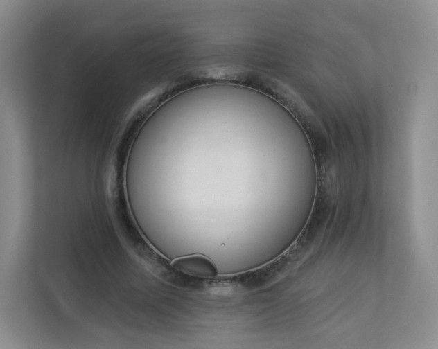 X0000113320587200909281209