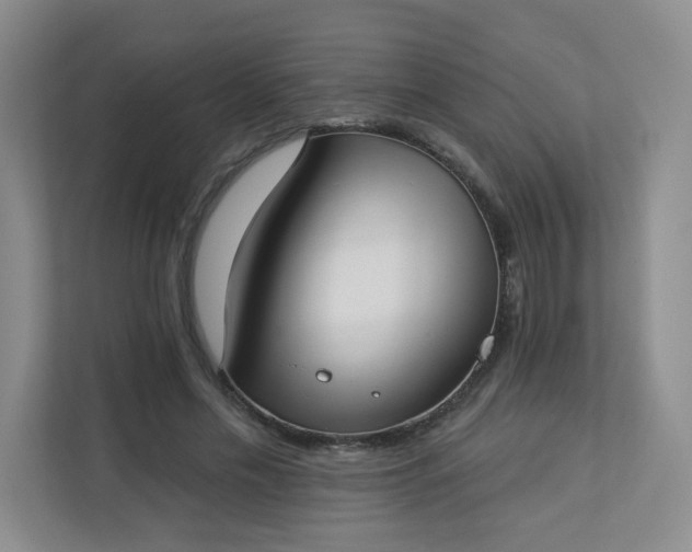 X0000113320589200909281209