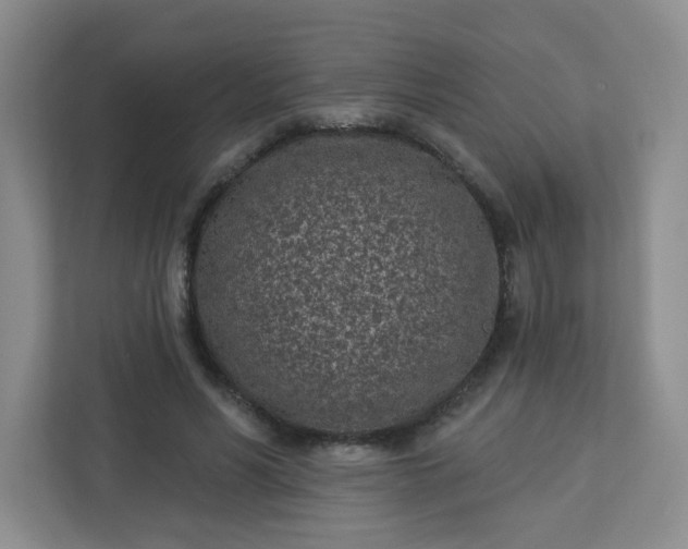 X0000113320590200909281209