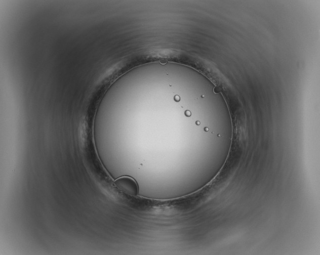 X0000113320591200909281209