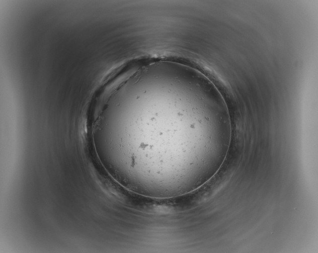 X0000113320592200909281209