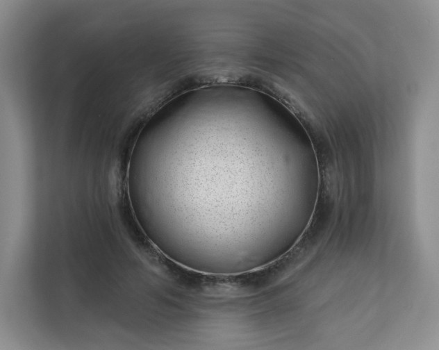 X0000113320594200909281209