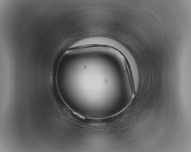 X0000113320595200909281209