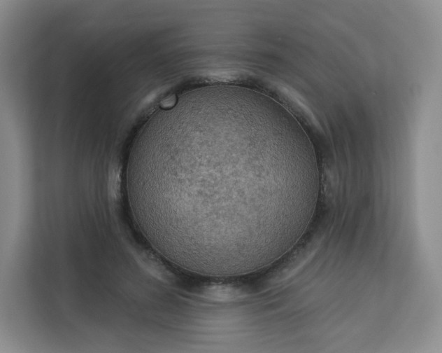 X0000113320596200909281209