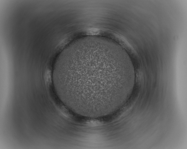 X0000113320598200909281209