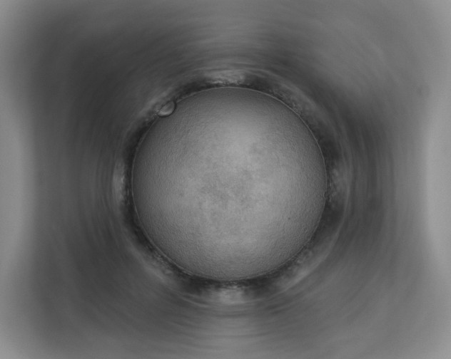 X0000113320600200909281209